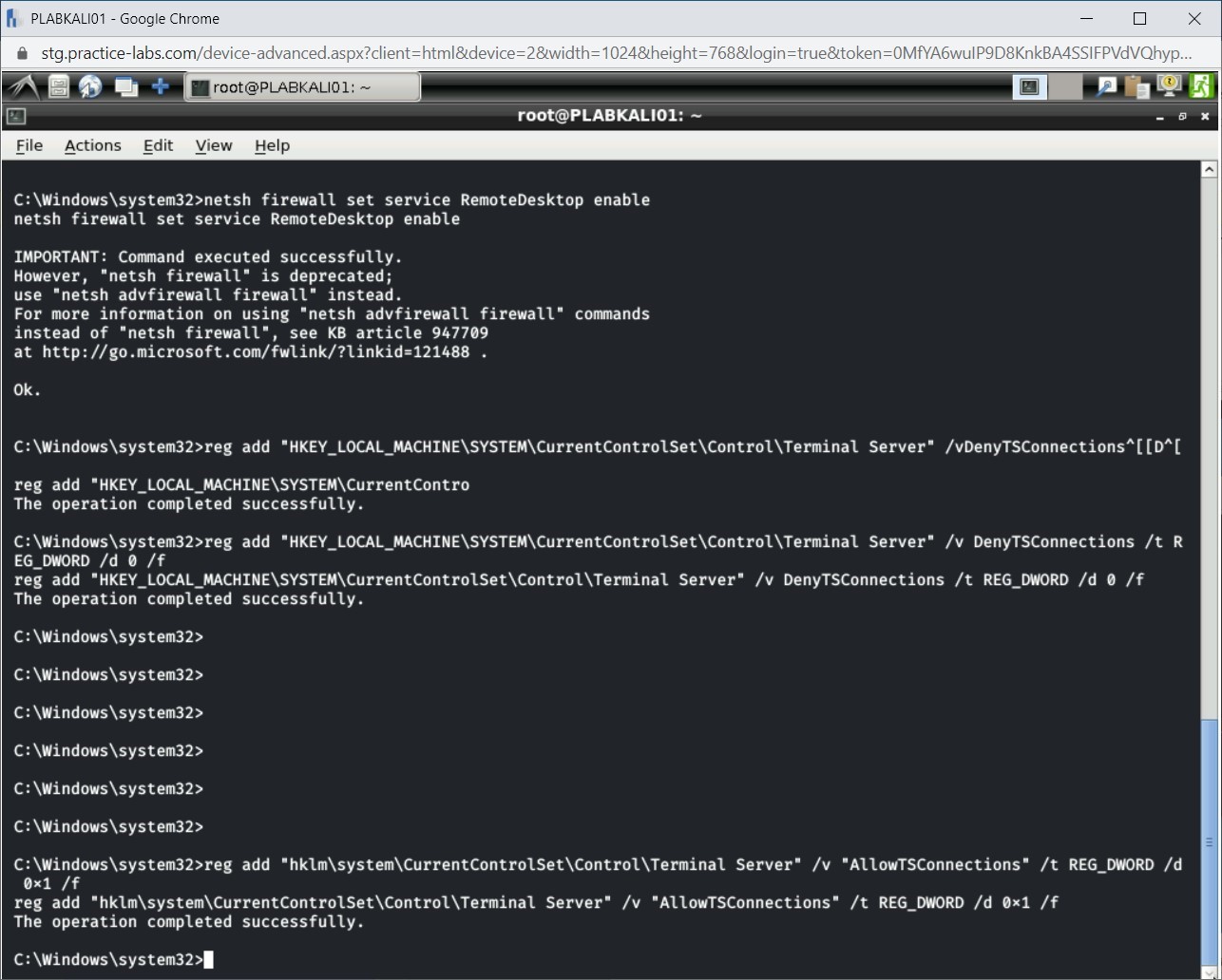 Figure 1.29 Screenshot of PLABKALI01