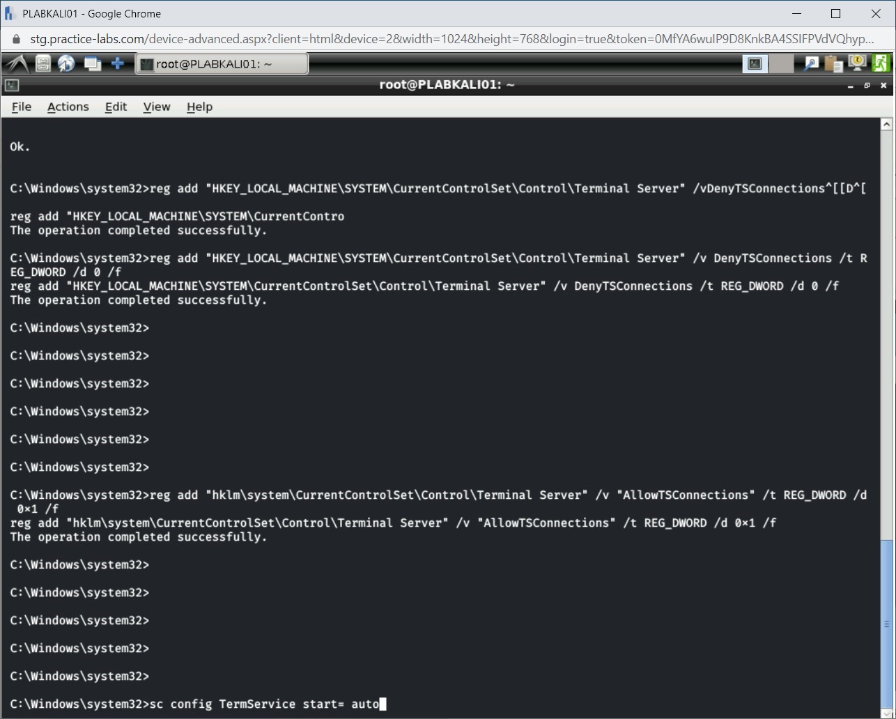 Figure 1.30 Screenshot of PLABKALI01