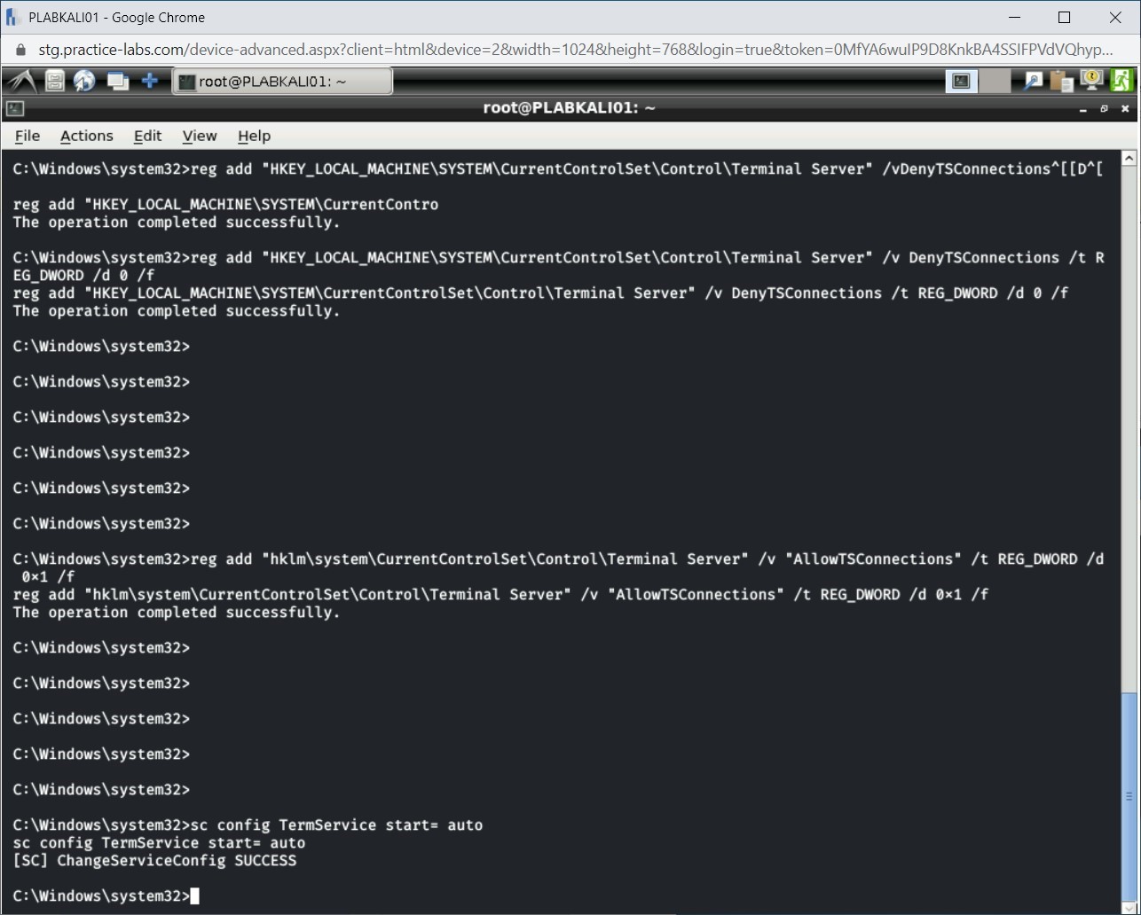 Figure 1.31 Screenshot of PLABKALI01