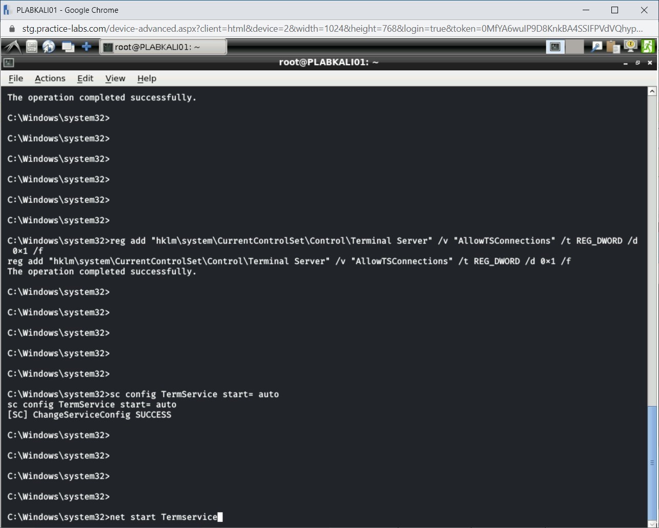 Figure 1.32 Screenshot of PLABKALI01