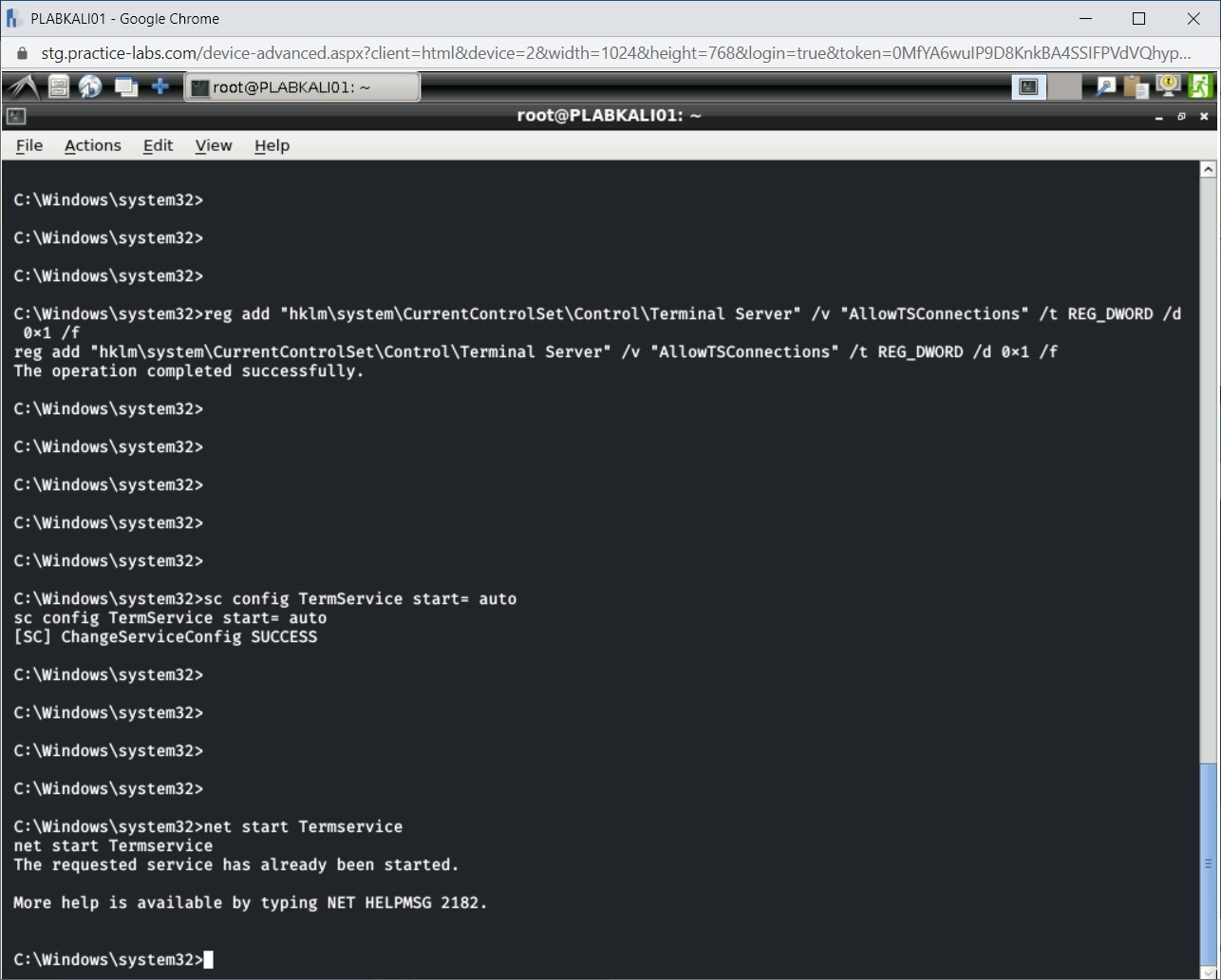 Figure 1.33 Screenshot of PLABKALI01