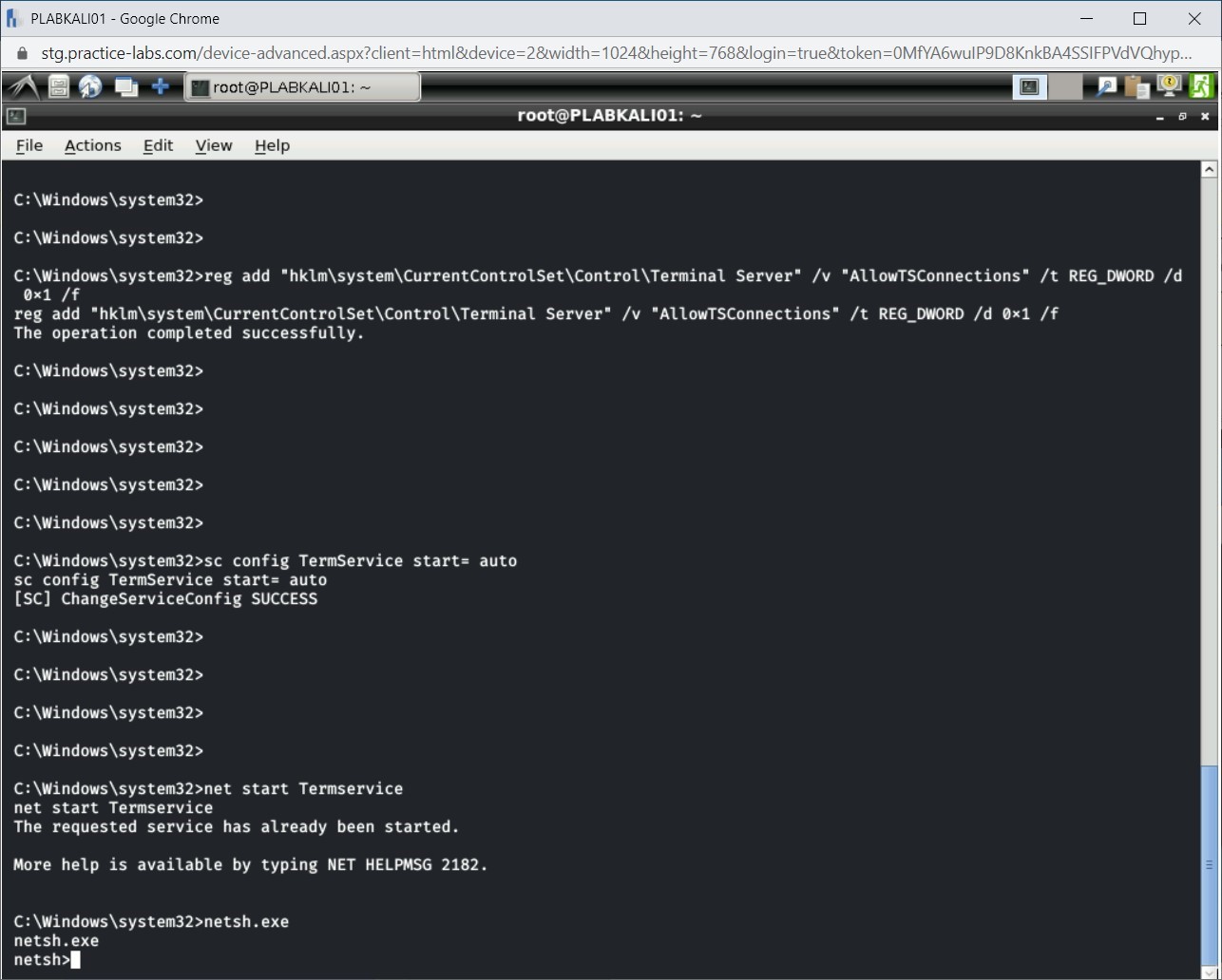 Figure 1.34 Screenshot of PLABKALI01