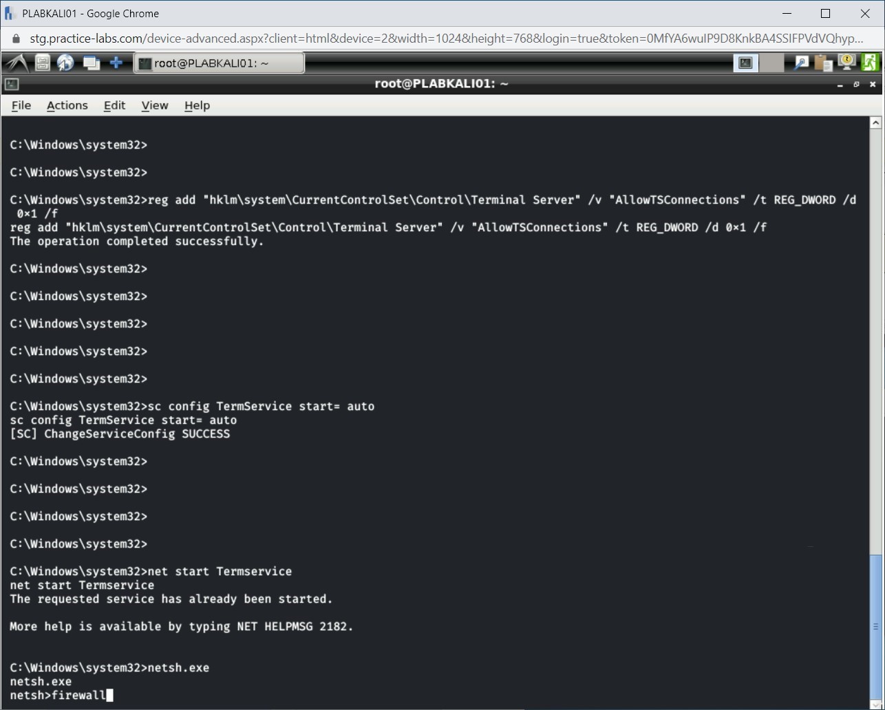 Figure 1.35 Screenshot of PLABKALI01