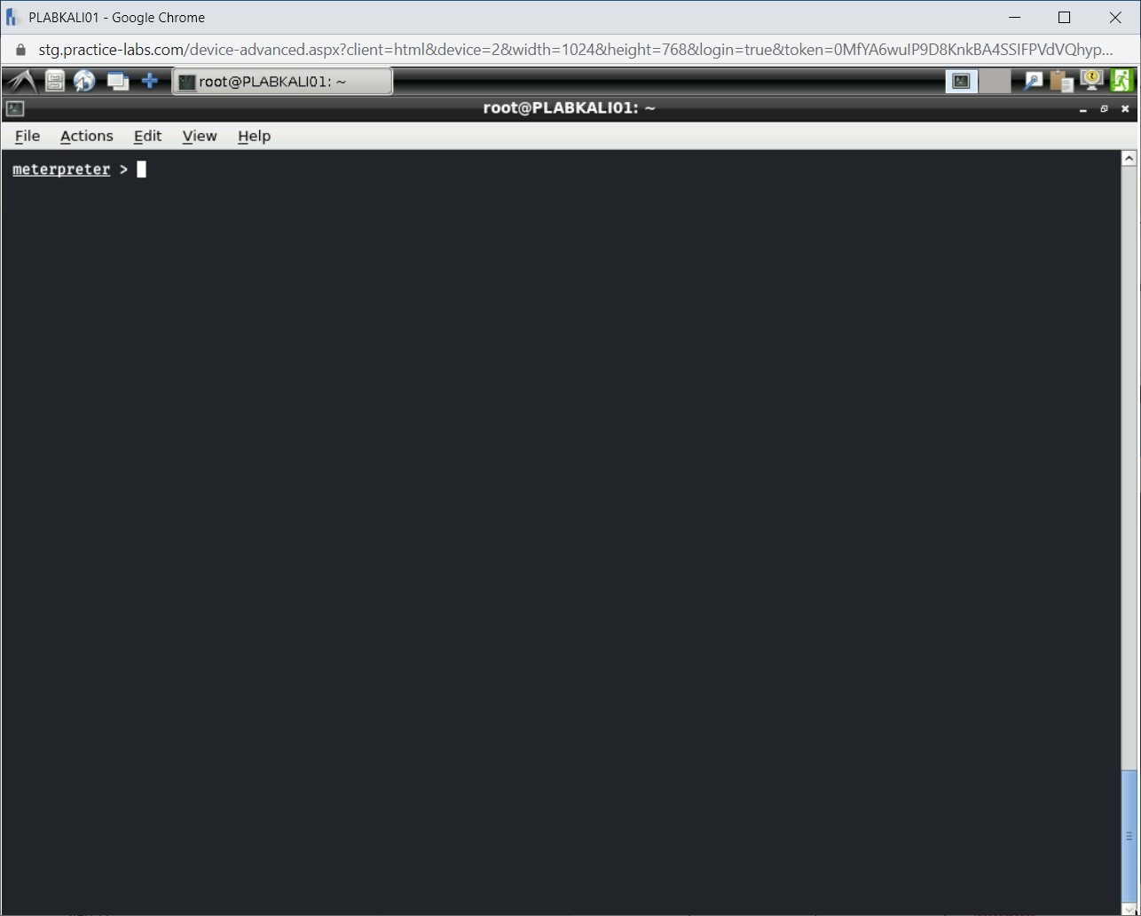 Figure 1.40 Screenshot of PLABKALI01