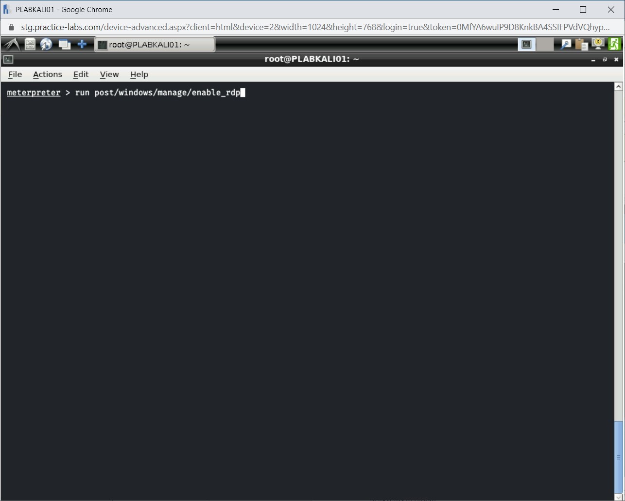 Figure 1.41 Screenshot of PLABKALI01