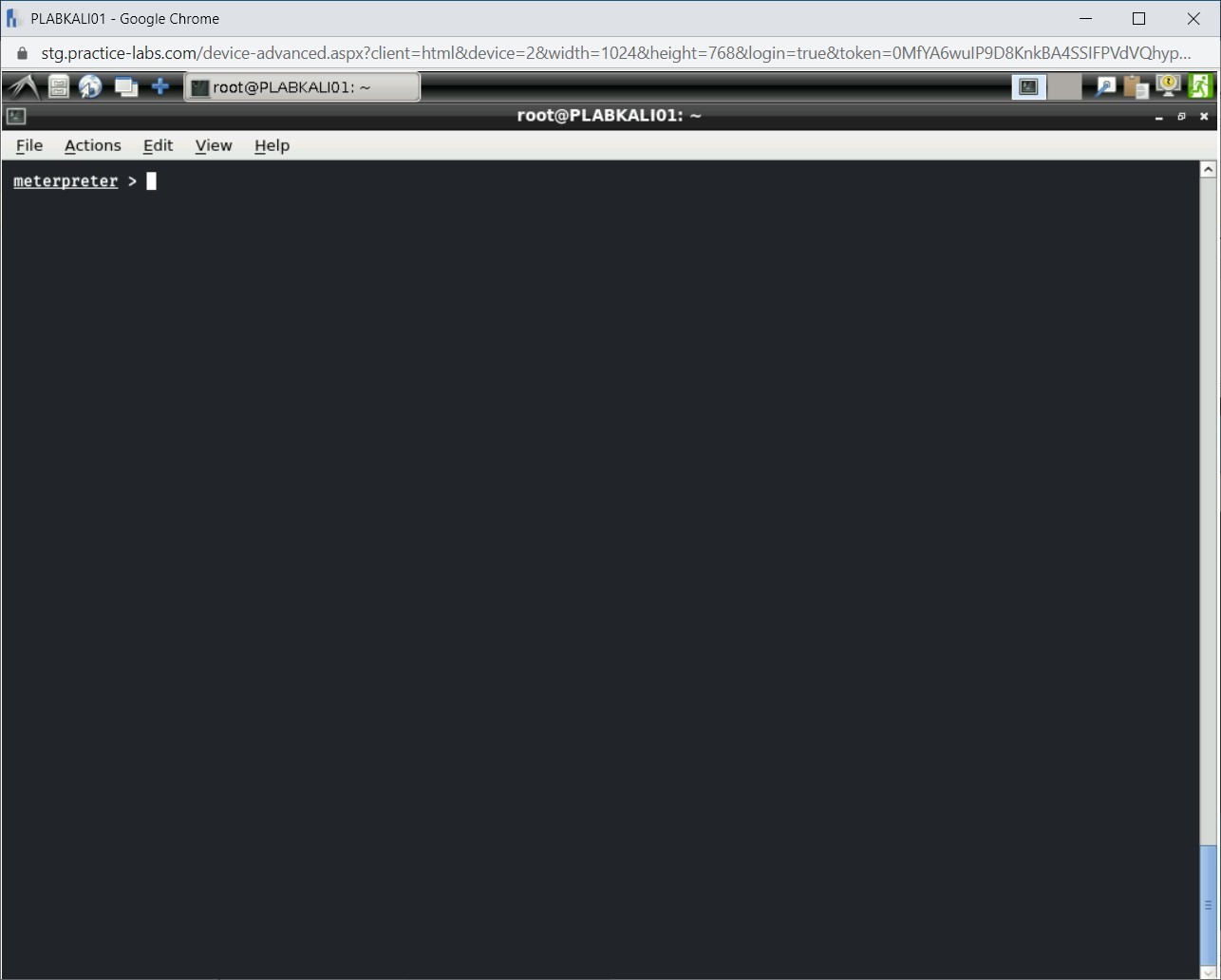 Figure 1.43 Screenshot of PLABKALI01