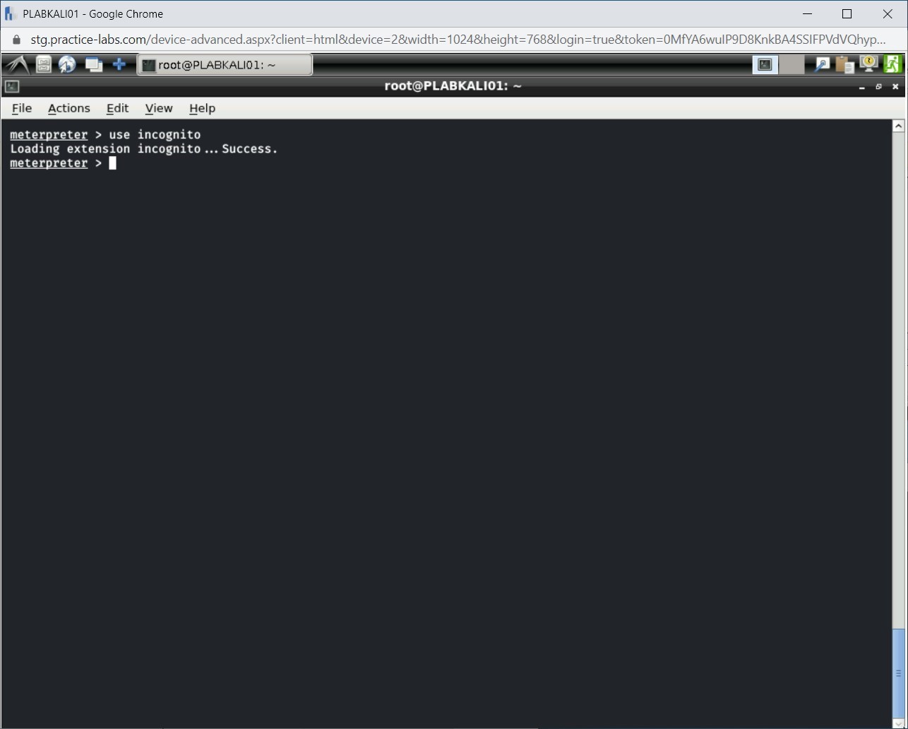Figure 1.45 Screenshot of PLABKALI01