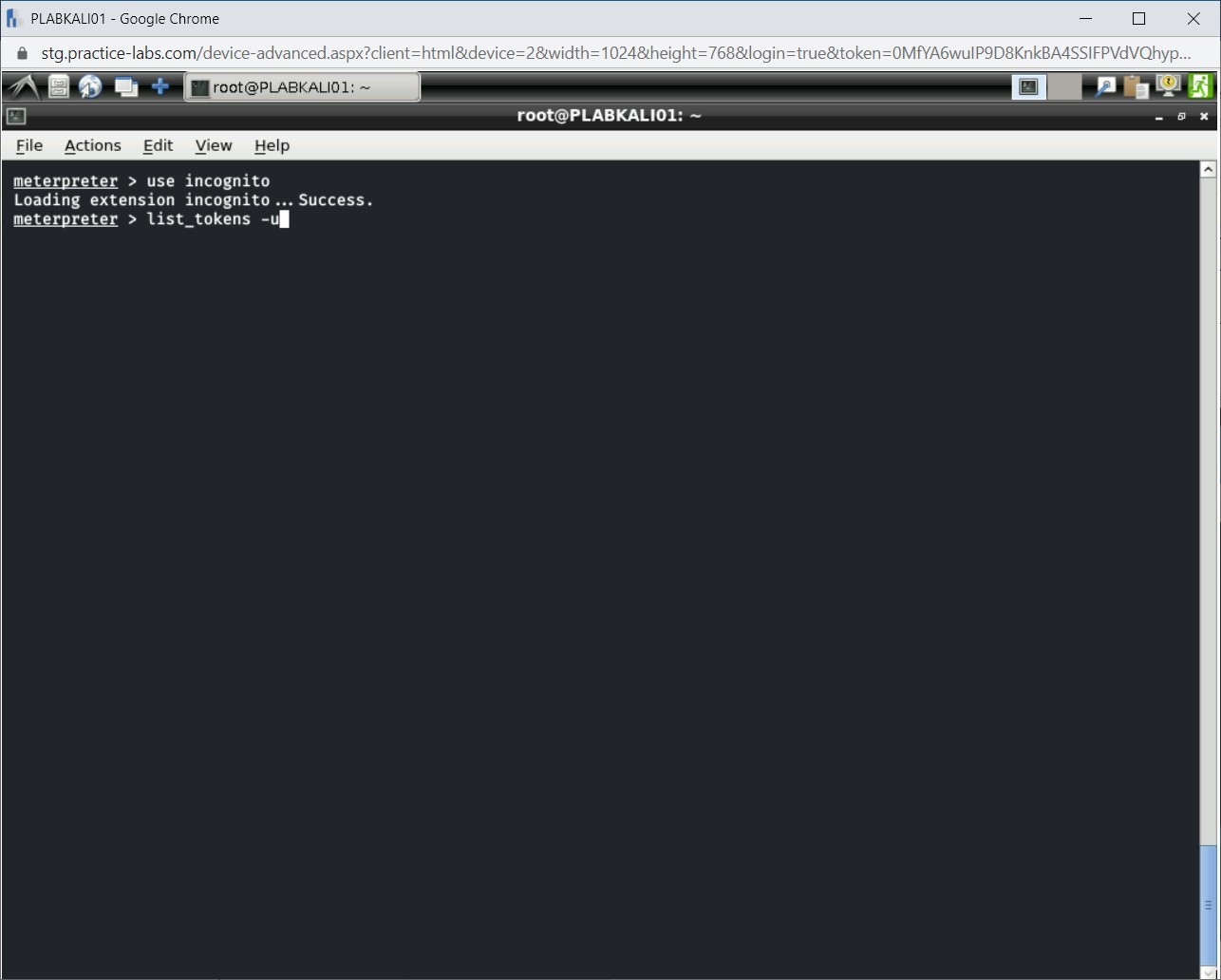 Figure 1.46 Screenshot of PLABKALI01