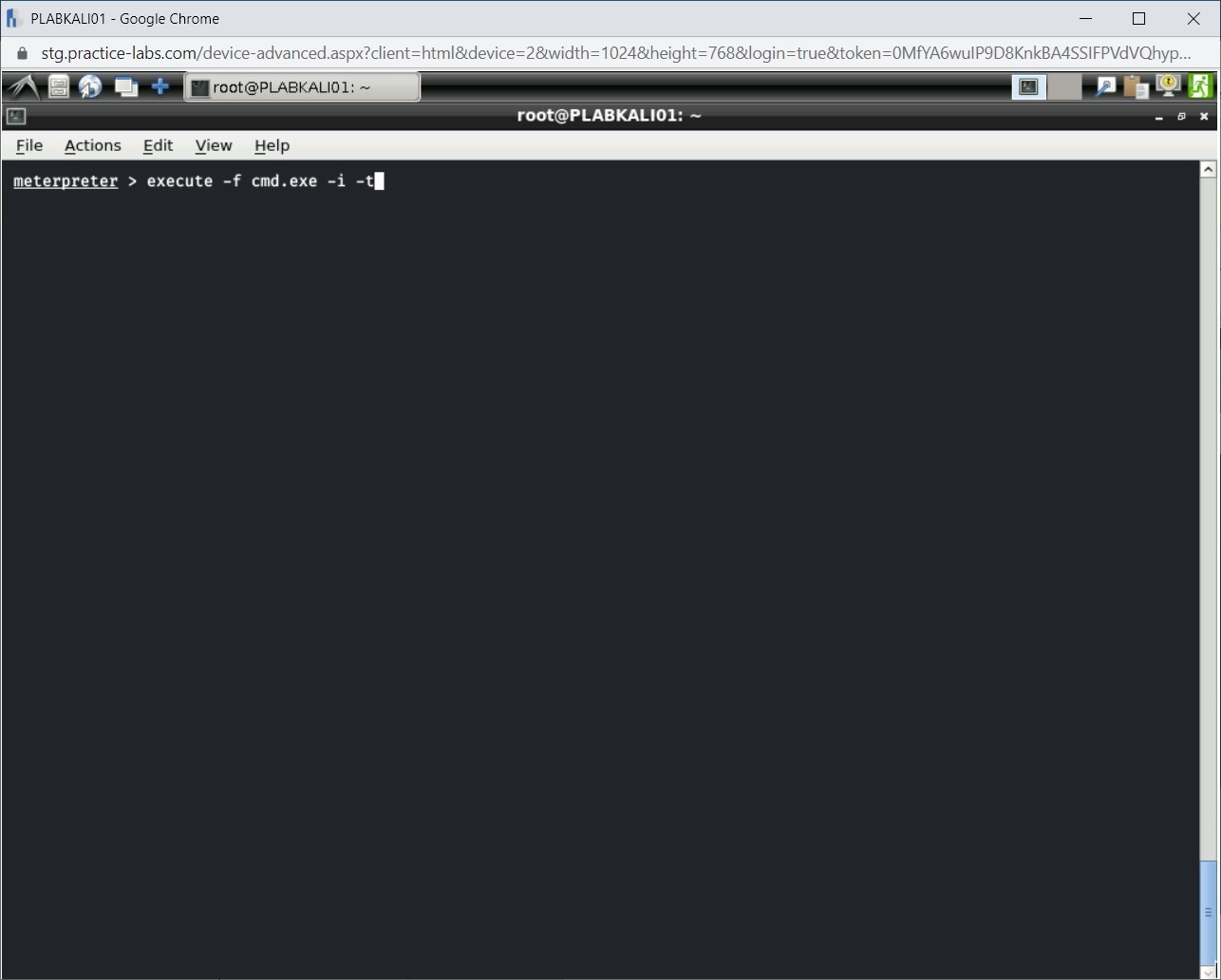 Figure 1.52 Screenshot of PLABKALI01