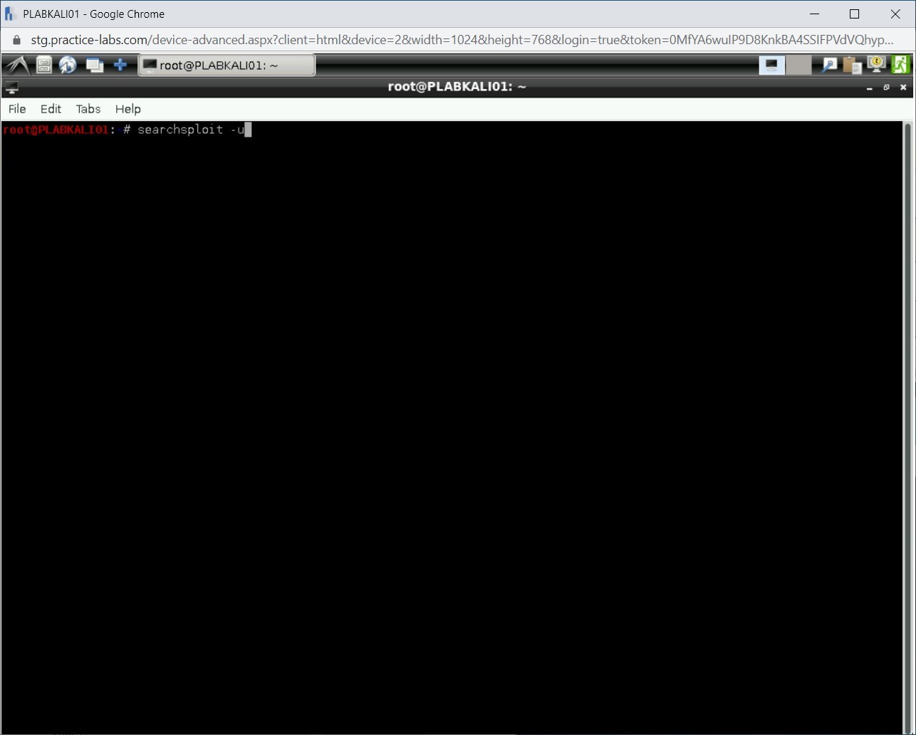 Figure 1.61 Screenshot of PLABKALI01