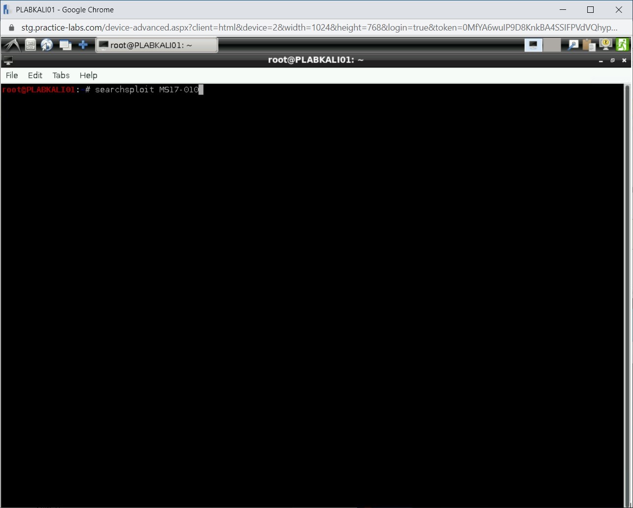 Figure 1.63 Screenshot of PLABKALI01