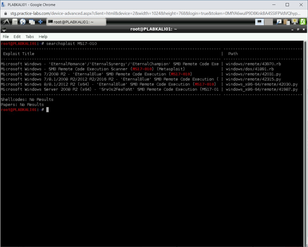 Figure 1.64 Screenshot of PLABKALI01