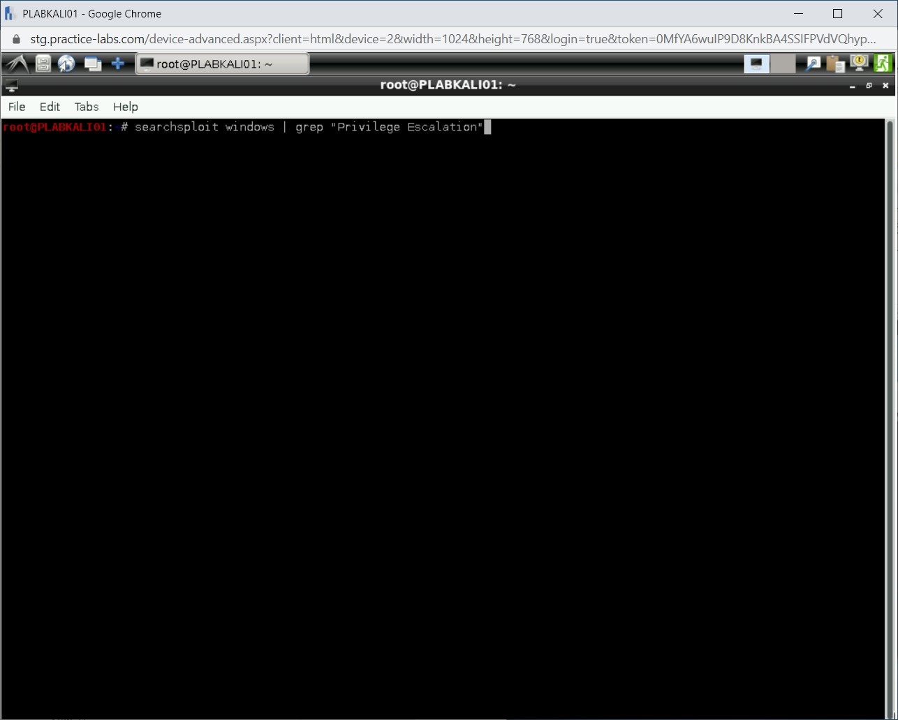 Figure 1.78 Screenshot of PLABKALI01