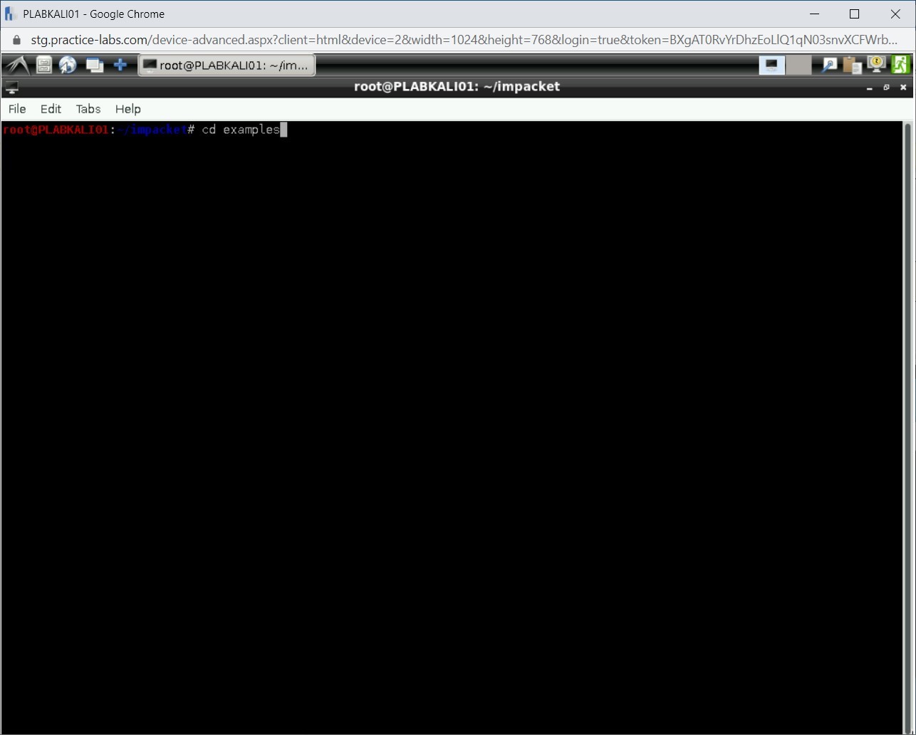 Figure 1.87 Screenshot of PLABKALI01