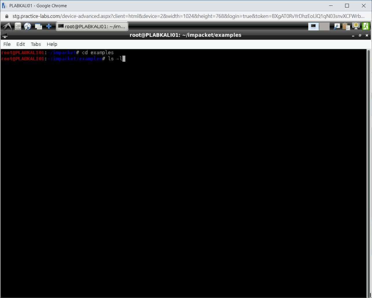 Figure 1.88 Screenshot of PLABKALI01