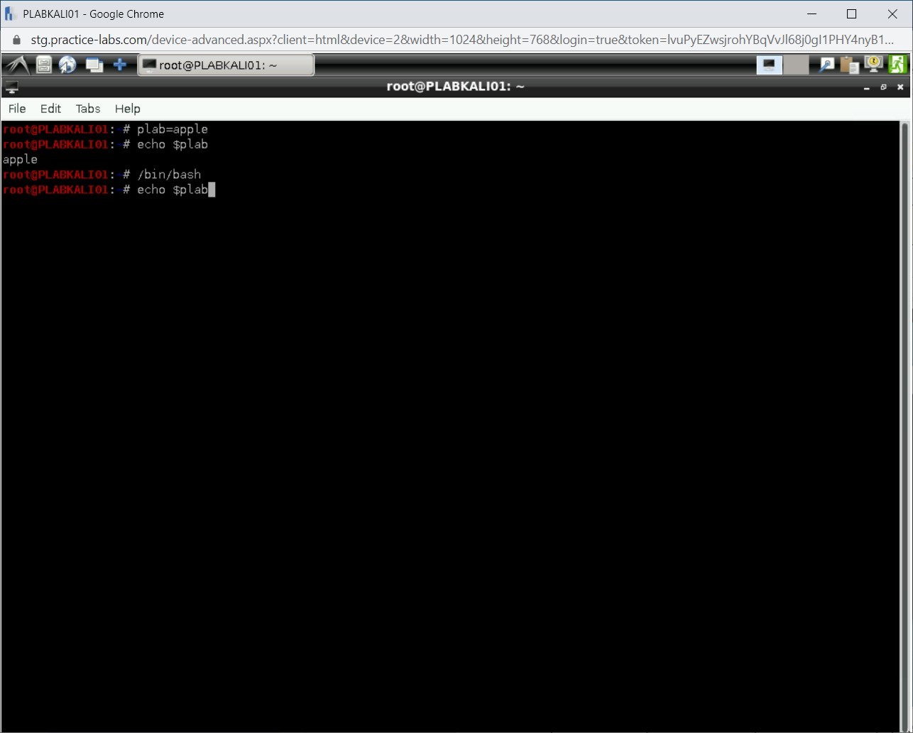 Figure 1.9 Screenshot of PLABKALI01