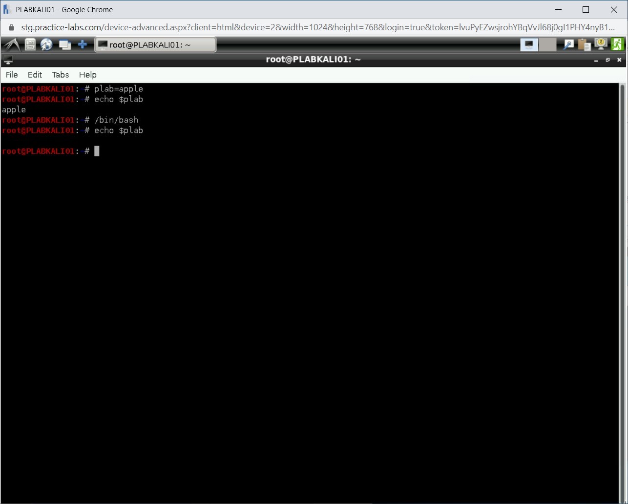 Figure 1.10 Screenshot of PLABKALI01