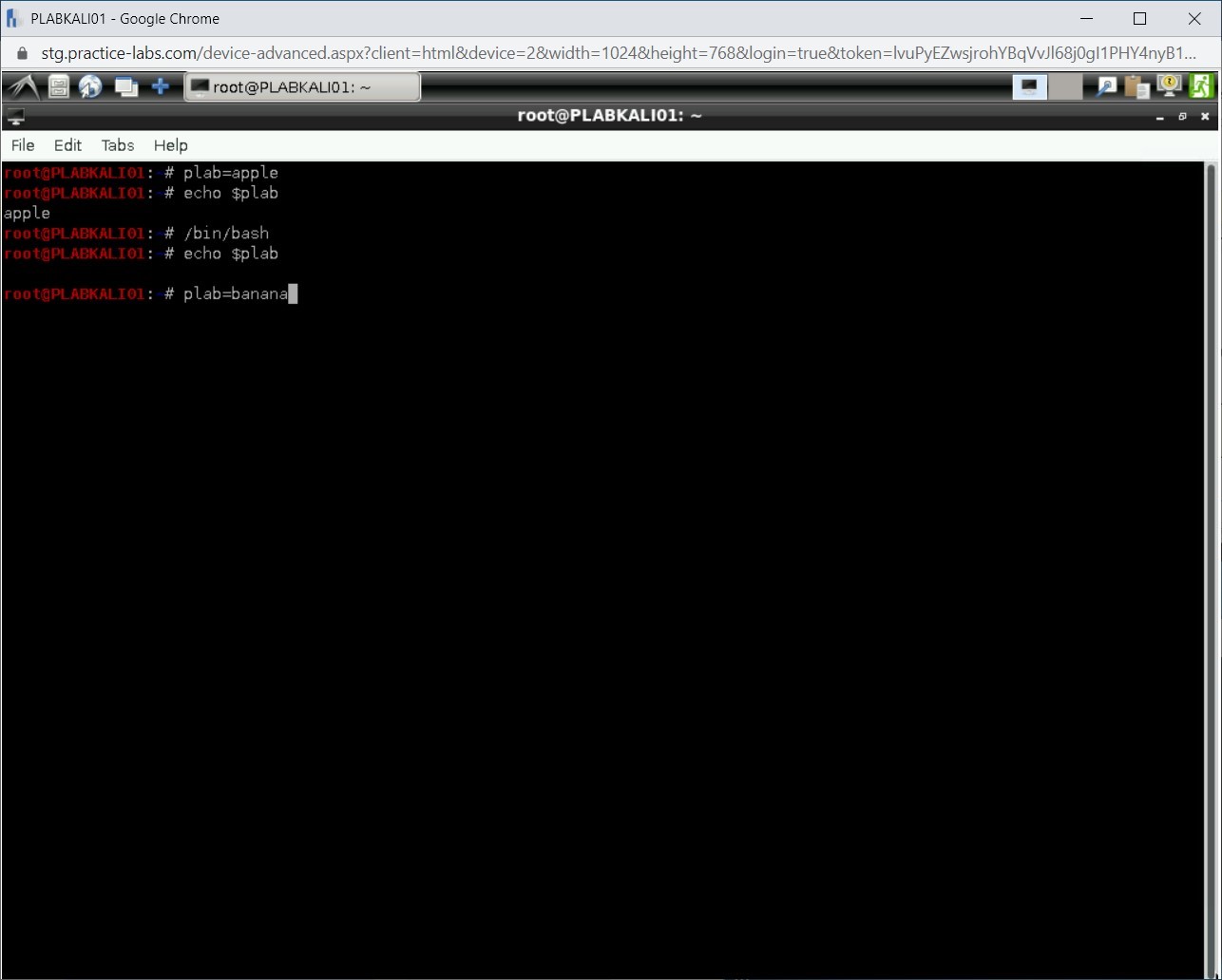 Figure 1.11 Screenshot of PLABKALI01