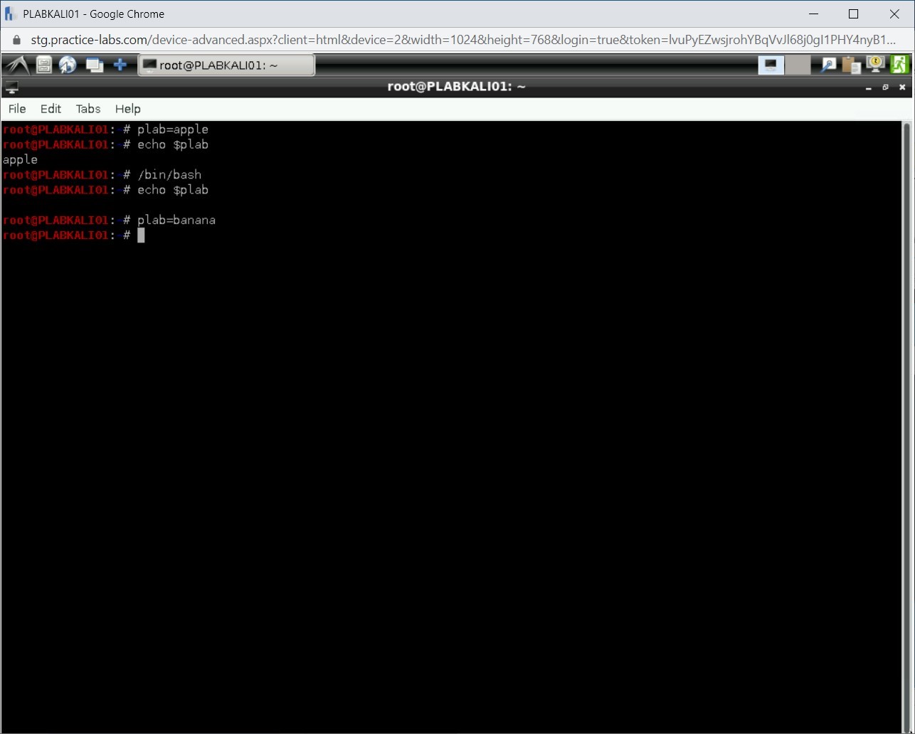 Figure 1.12 Screenshot of PLABKALI01