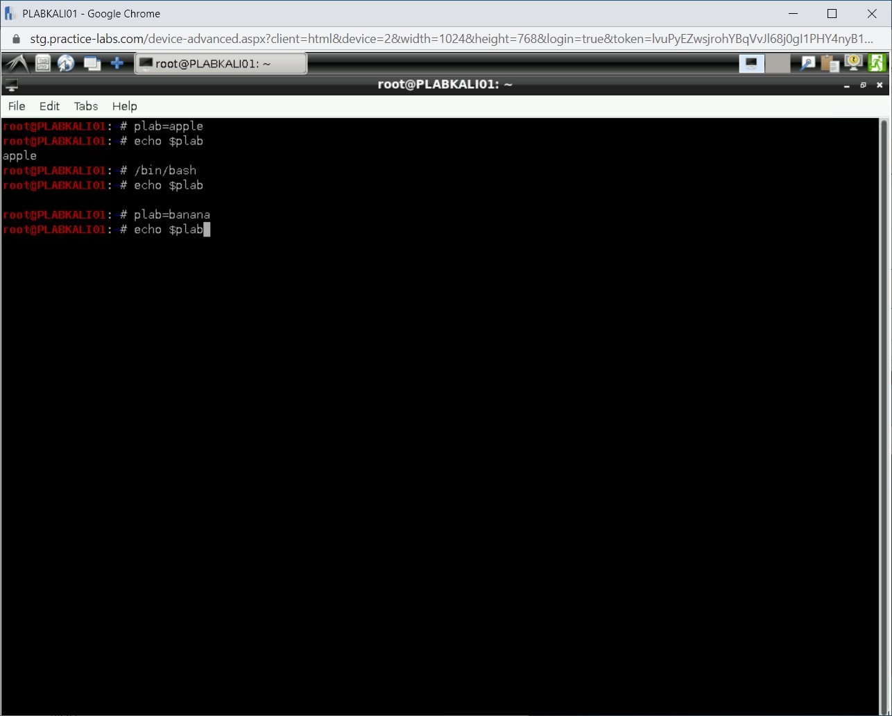 Figure 1.13 Screenshot of PLABKALI01