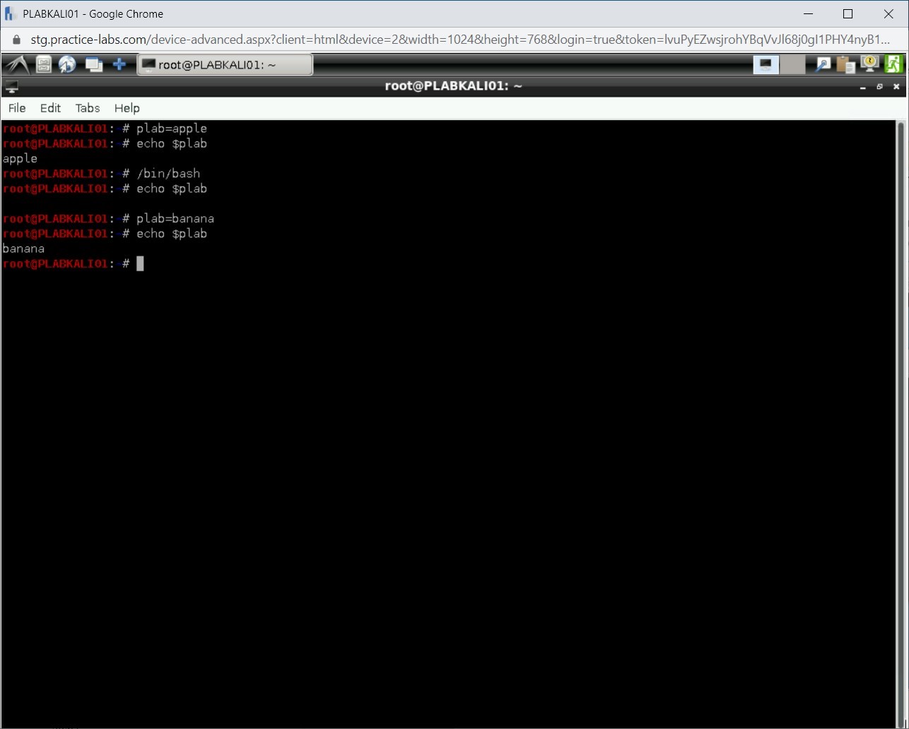 Figure 1.14 Screenshot of PLABKALI01