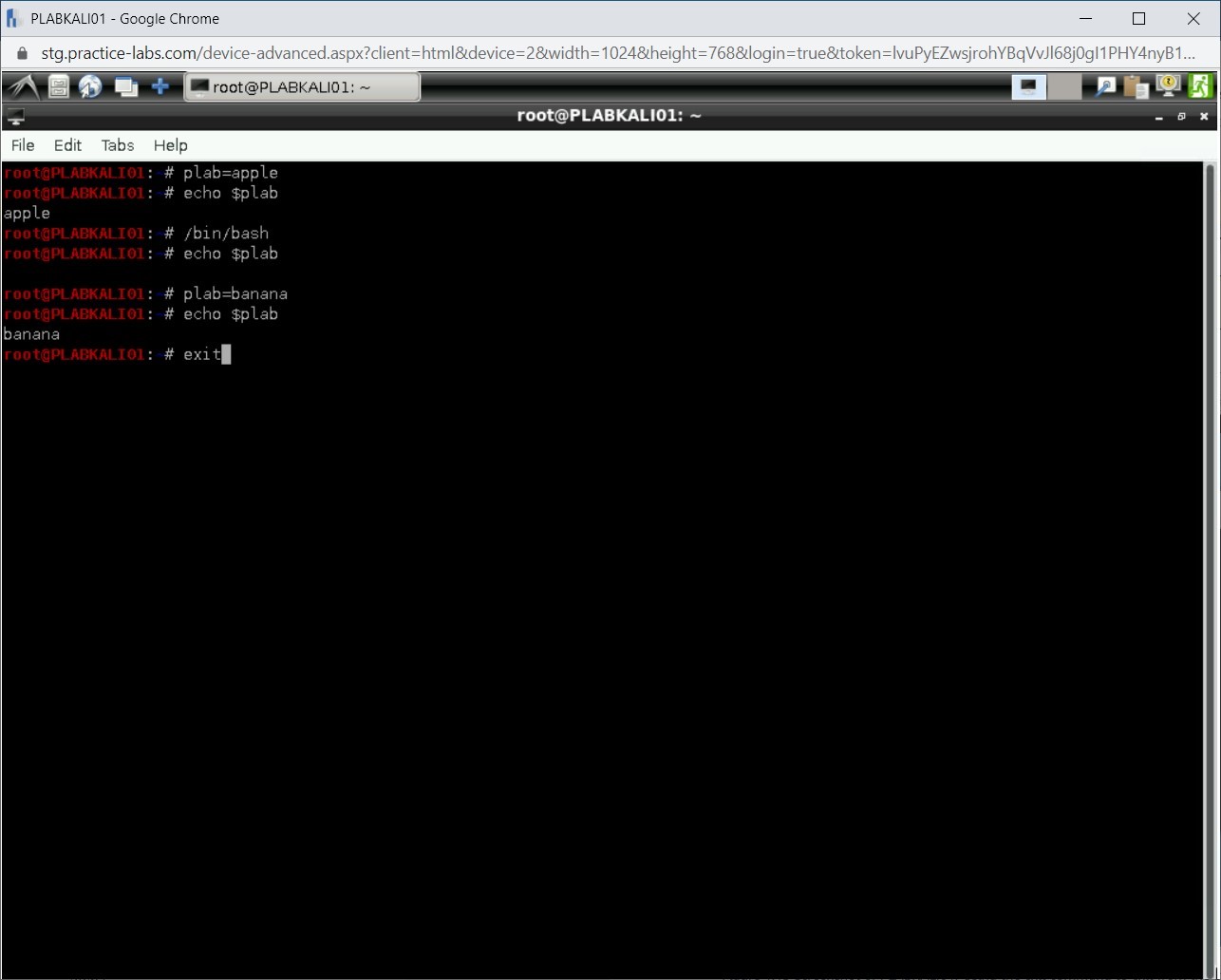 Figure 1.15 Screenshot of PLABKALI01