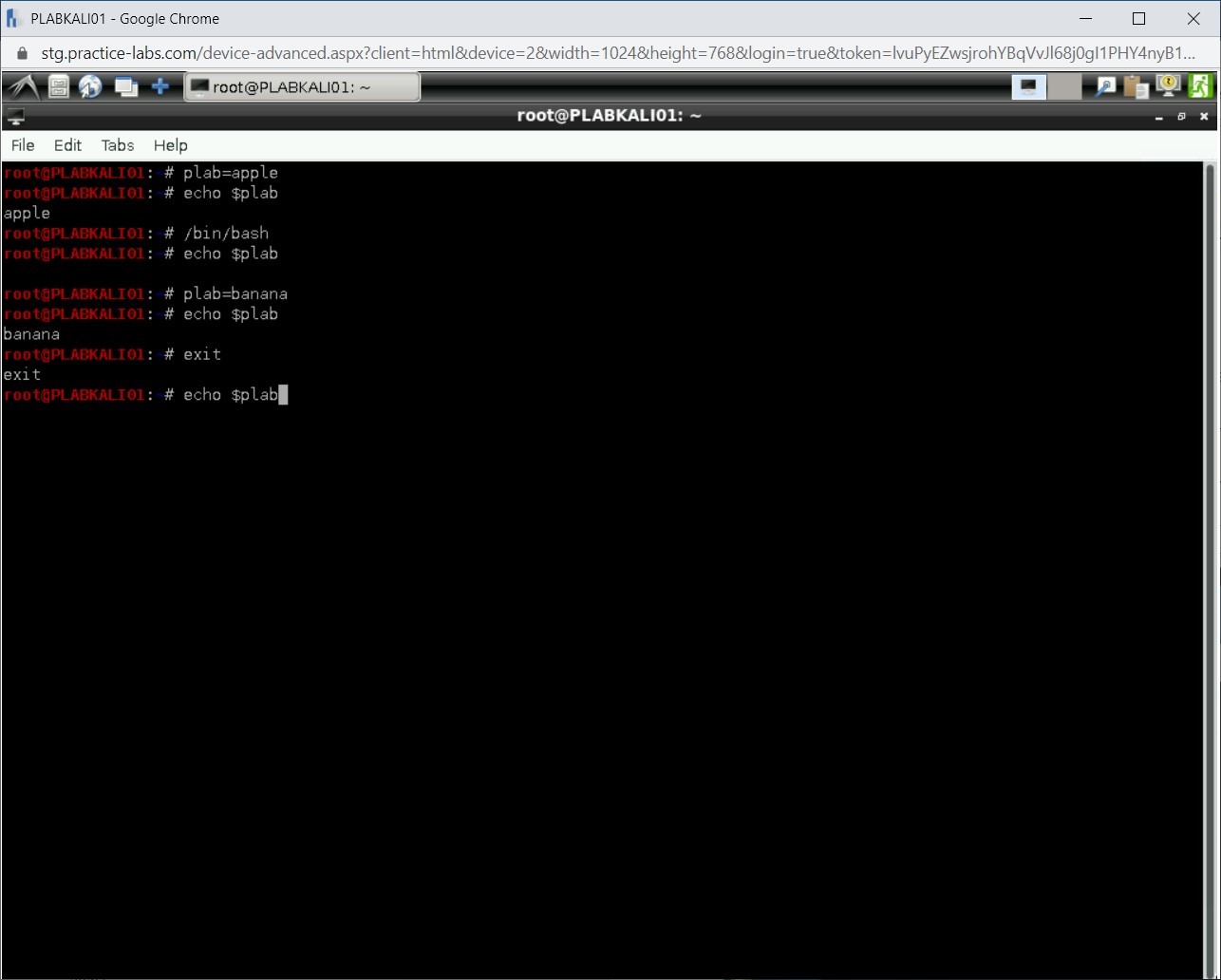 Practice Labs screenshot.
