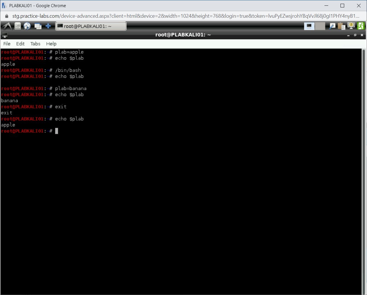 Figure 1.17 Screenshot of PLABKALI01