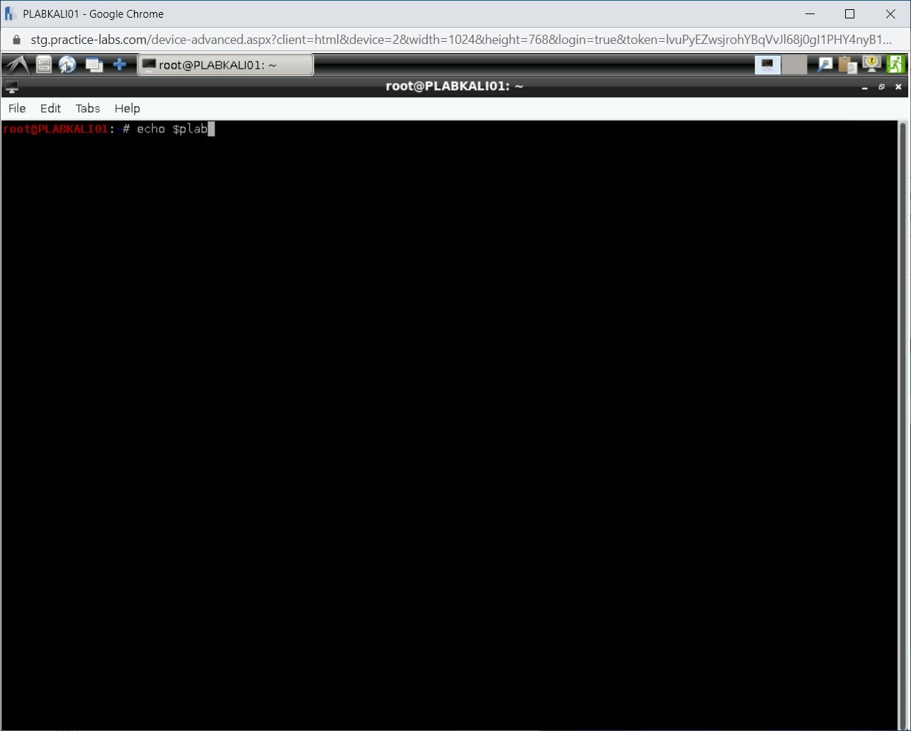 Figure 1.18 Screenshot of PLABKALI01