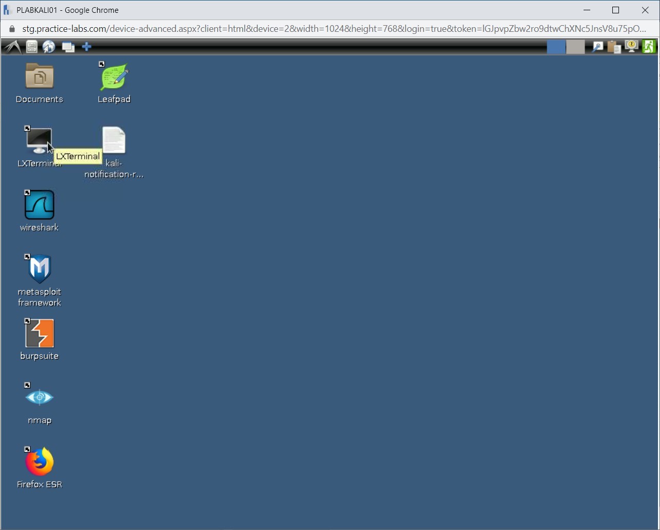 Figure 1.1 Screenshot of PLABKALI01