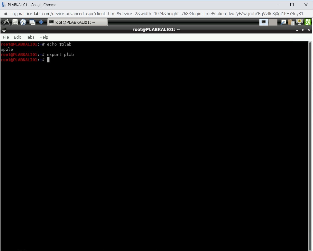 Figure 1.21 Screenshot of PLABKALI01