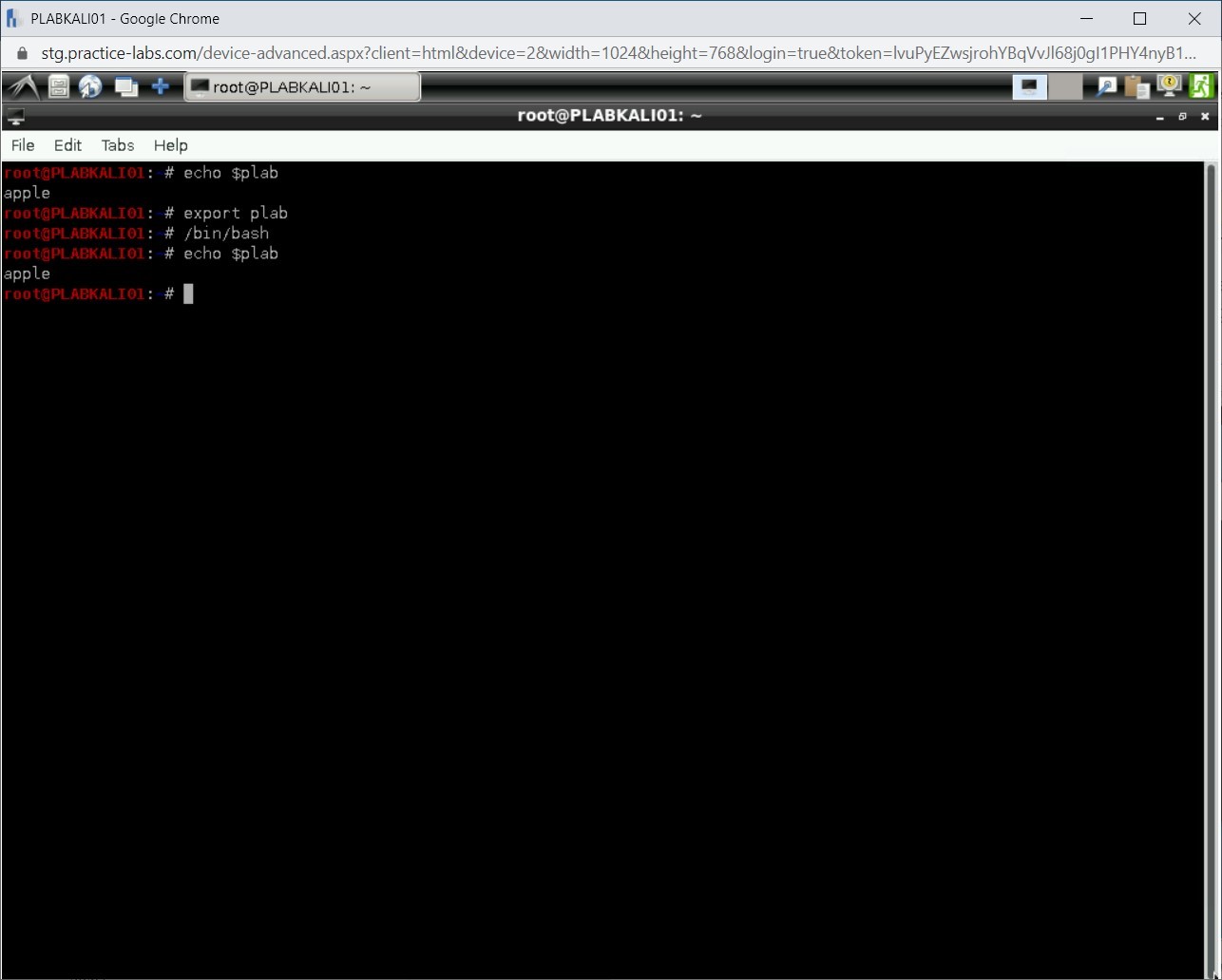 Figure 1.25 Screenshot of PLABKALI01