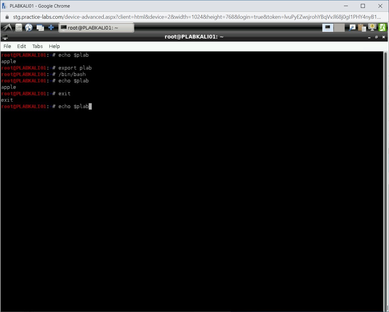 Figure 1.27 Screenshot of PLABKALI01