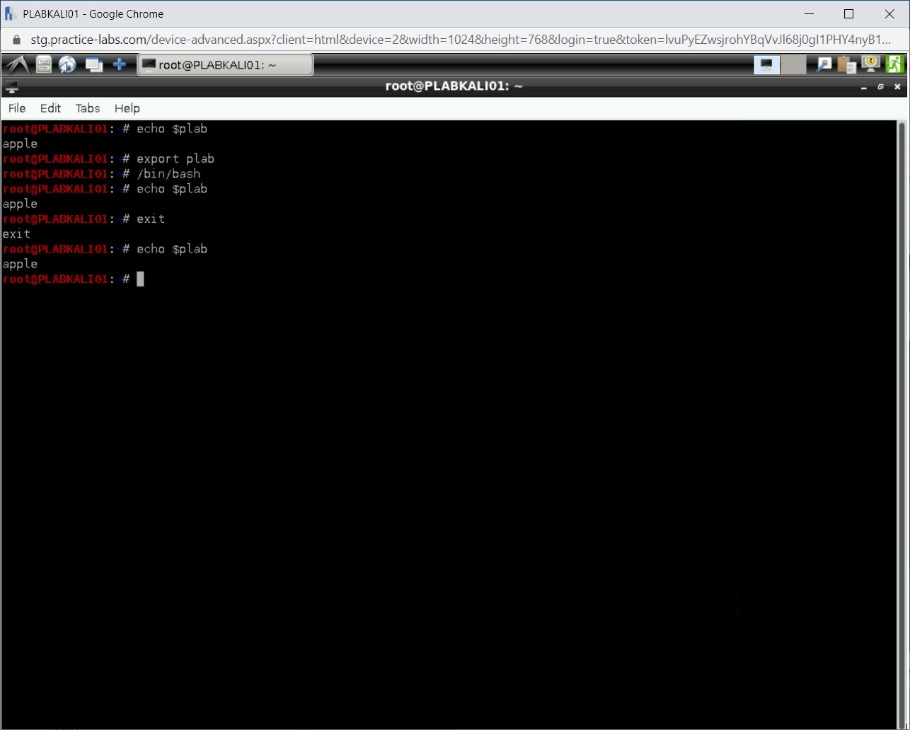 Figure 1.28 Screenshot of PLABKALI01