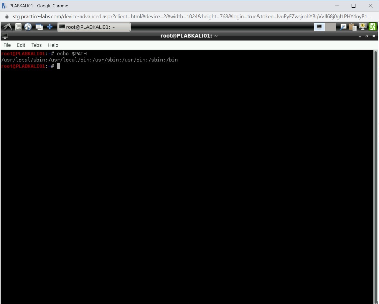 Figure 1.37 Screenshot of PLABKALI01
