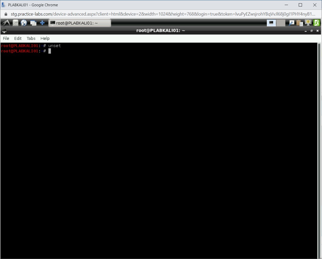 Figure 1.39 Screenshot of PLABKALI01