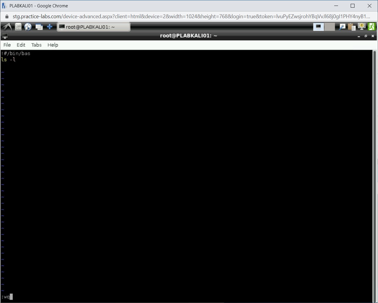 Figure 2.6 Screenshot of PLABKALI01