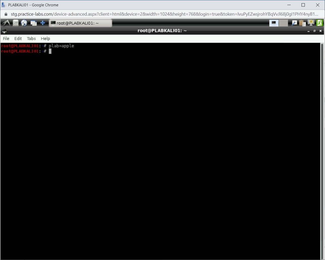 Figure 1.4 Screenshot of PLABKALI01
