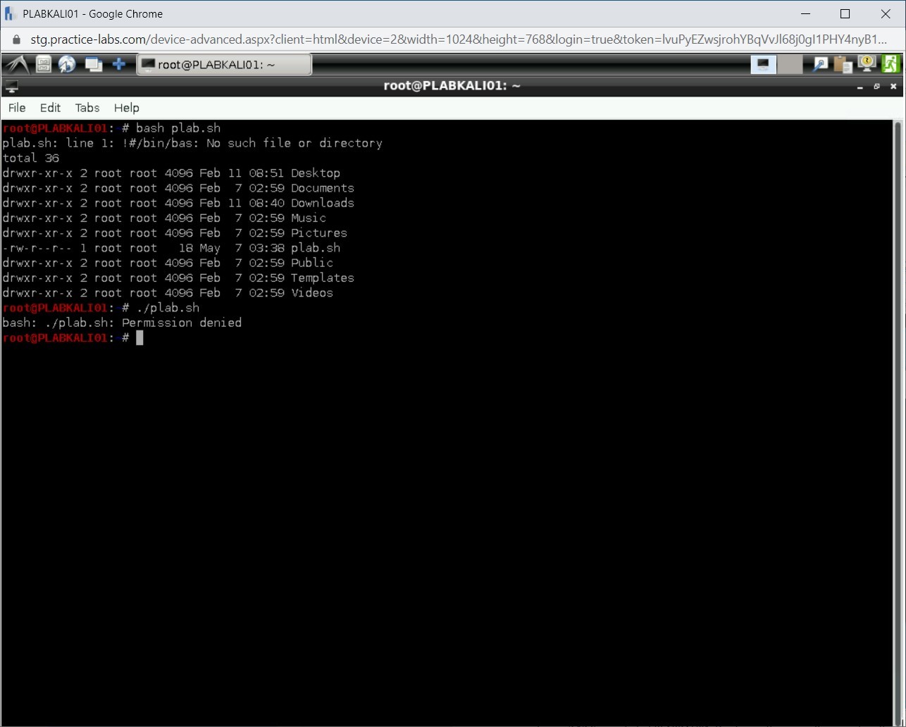 Figure 2.13 Screenshot of PLABKALI01